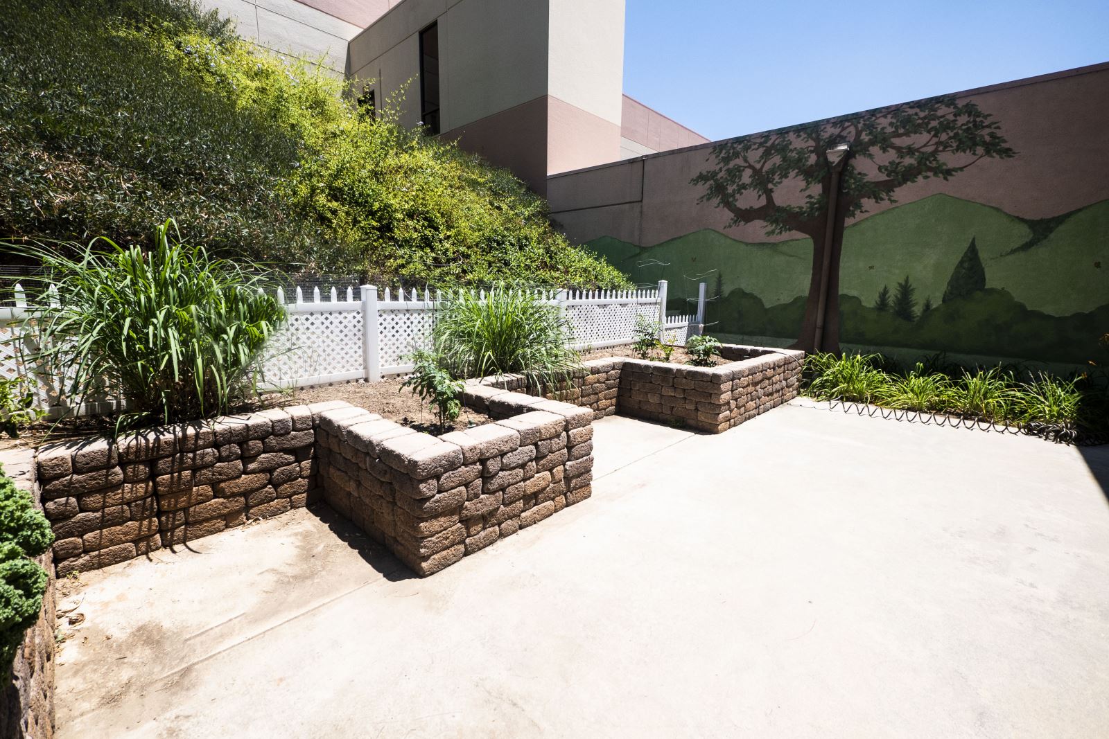 Healingarden Healing Garden